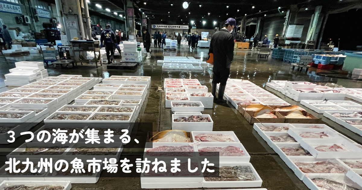 3つの海が集まる、北九州の魚市場を訪ねました