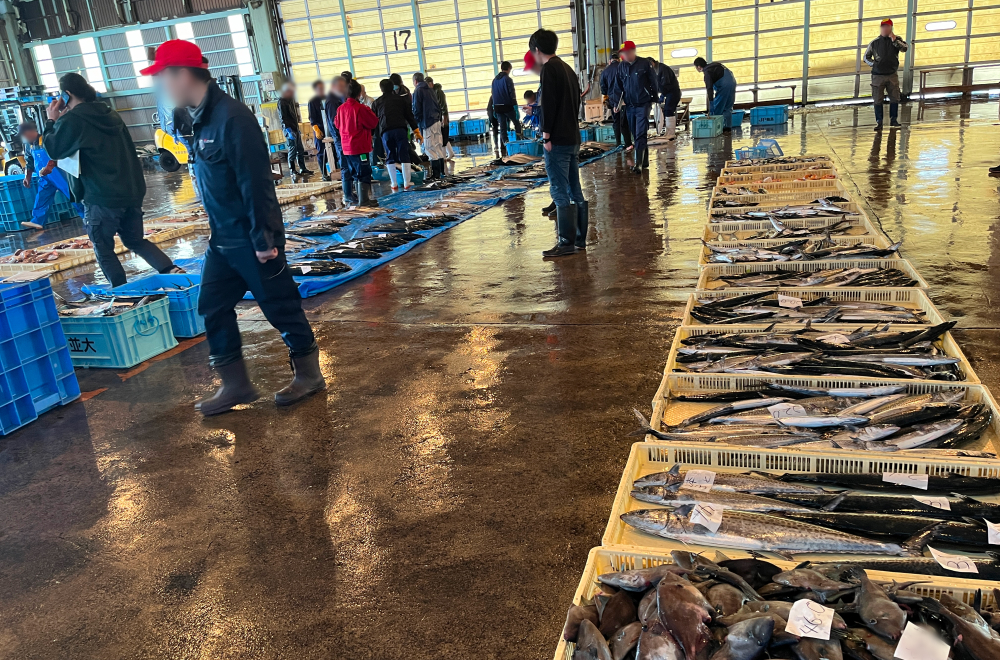 競り前に仲買人さんたちが魚を確認。